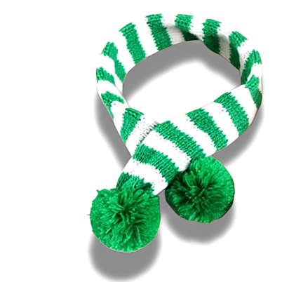 PawFestive Scarf