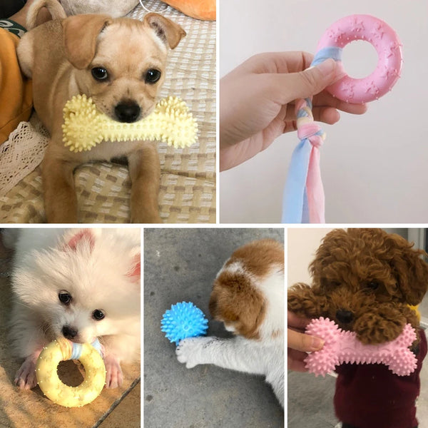 Playful Paws Dog Chew Toys