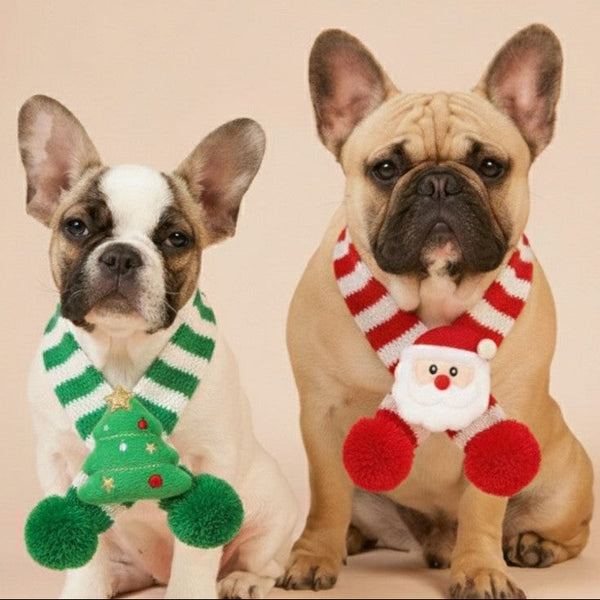 Cozy Holiday Pet Scarf