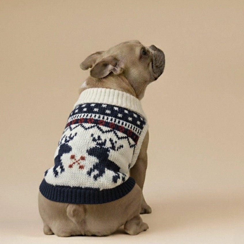 Christmas Pet Sweater
