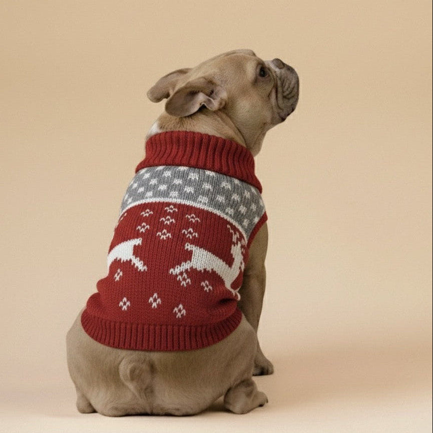 Christmas Pet Sweater